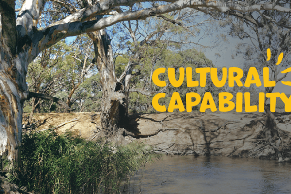 cultural-capability-training-resized