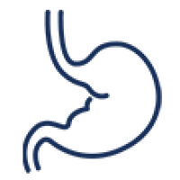 icon-gastro