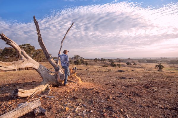 resilient-care-hero-image